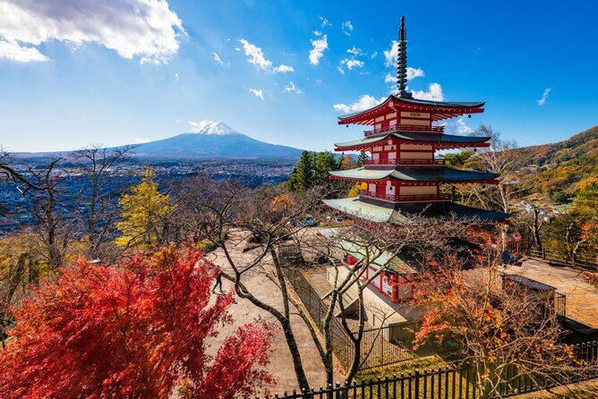 Mount Fuji Private Tour With English Guide Fully Customizable - Concluding Thoughts