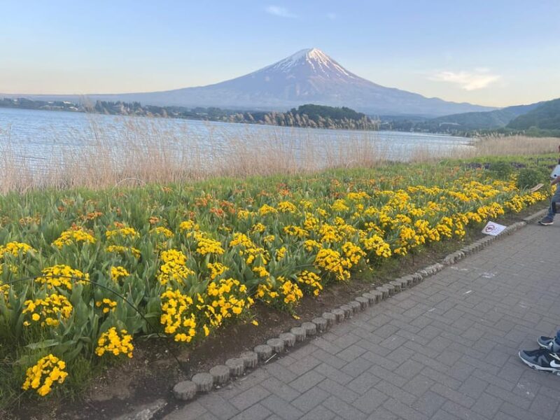 Mount Fuji Private Tour With English Speaking Driver/Guide - Key Points