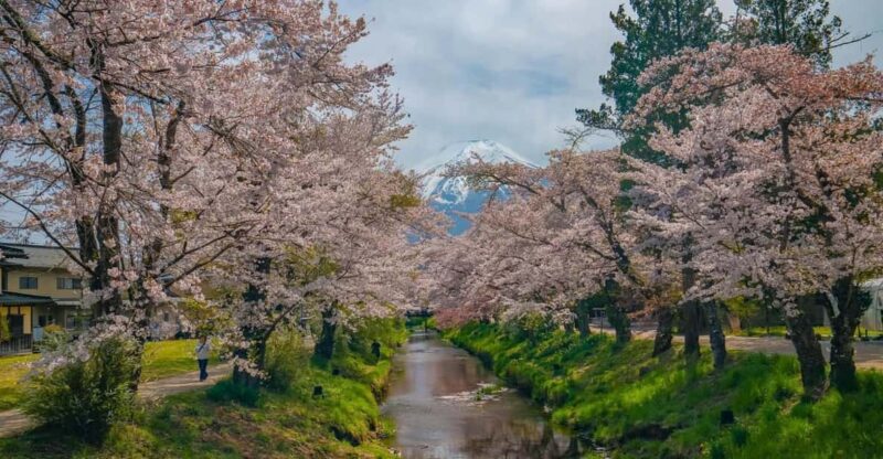 Mount Fuji Private Tour With English Speaking Driver/Guide - Itinerary Highlights
