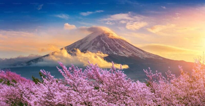 Mount Fuji Private Tour With English Speaking Driver - Highlights of the Itinerary