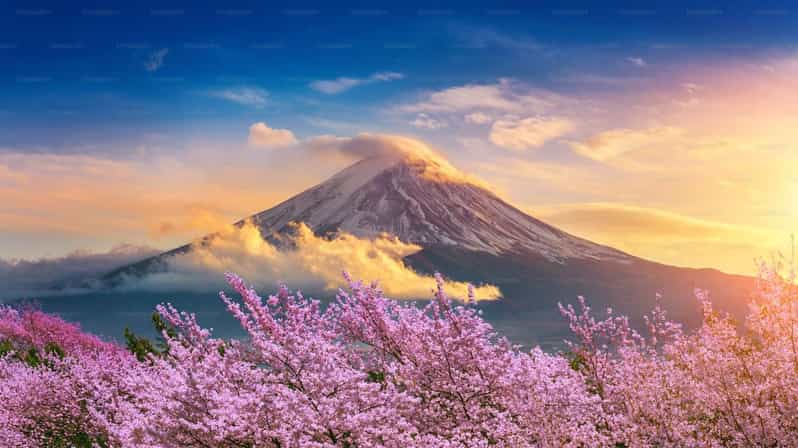 Mount Fuji Private Tour With English Speaking Driver - Language Support