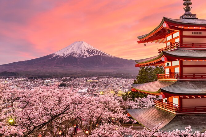 Mount Fuji Private Trip From Tokyo by Car/Van - in English - Pickup and Drop-off