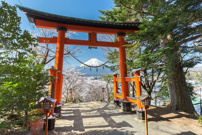 Mount Fuji Private Trip From Tokyo by Car/Van - in English - About the Operator