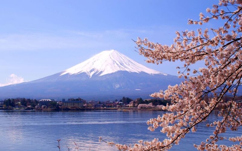 Mount Fuji Pvt. Full Day Trip With English-Speaking Driver - Key Points