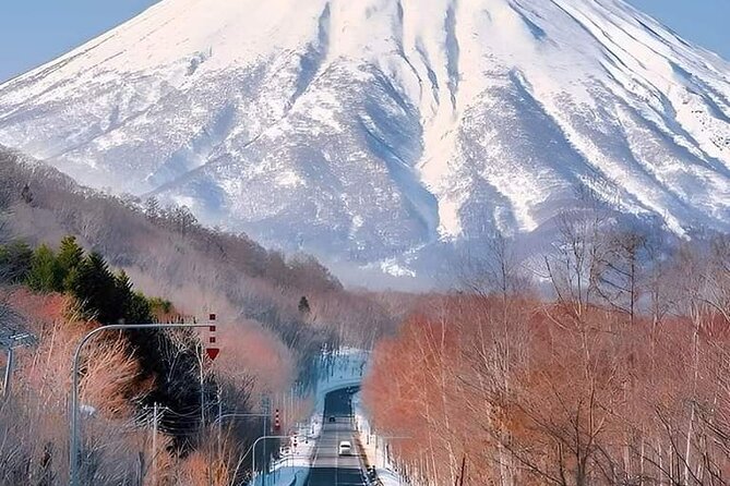 Mount Fuji Sightseeing One Day Tour From Shinjuku - Booking and Cancellation Policy