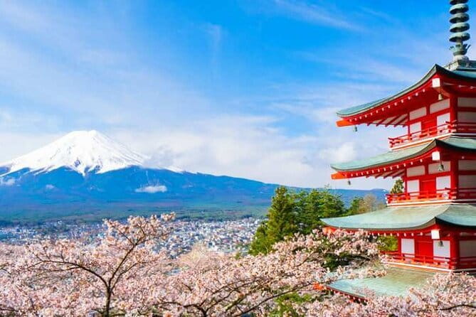 Mount Fuji Sightseeing One Day Tour From Tokyo - Inclusions and Exclusions