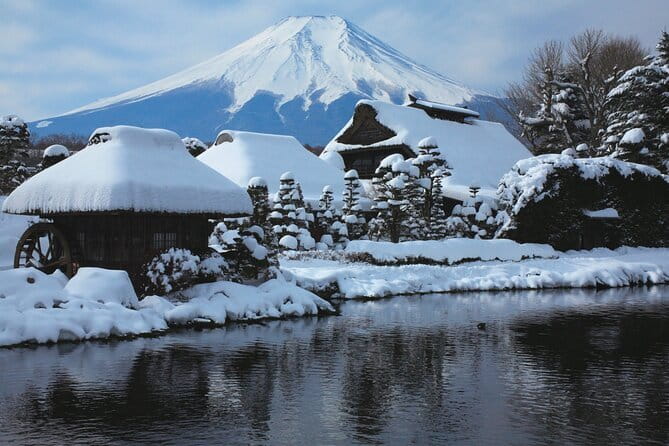 Mount Fuji Sightseeing One Day Tour From Tokyo - Accessibility and Participation