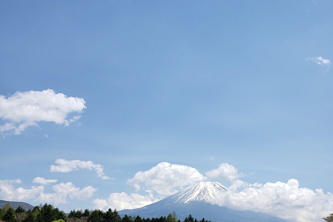 Mount Fuji Sightseeing Private Group Tour(English Speaking Guide) - Sightseeing Highlights