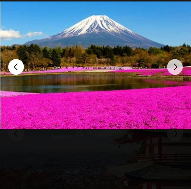 Mount Fuji Sightseeing Private Tour English Speaking Guide - Key Points