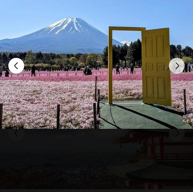 Mount Fuji Sightseeing Private Tour English Speaking Guide - Gotemba Premium Outlets