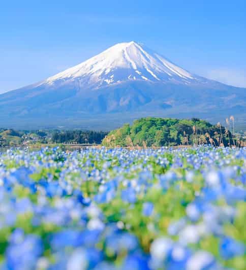 Mount Fuji,Hakone Private Tour by Car With Pick up - Exploring Chureito Pagoda