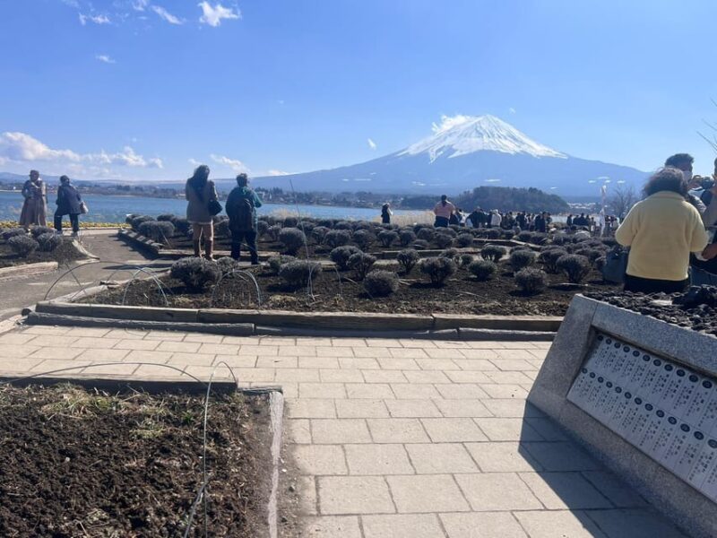 Mount Fuji,Hakone Private Tour by Car With Pick up - Discovering Oshino Hakkai