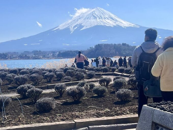 Mount Fuji,Hakone Private Tour by Car With Pick up - Venturing Into Owakudani Valley