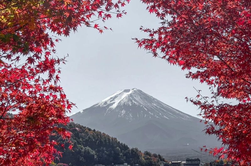 Mount Fuji,Lake Kawaguchiko Private Tour by Car - Highlights of the Itinerary