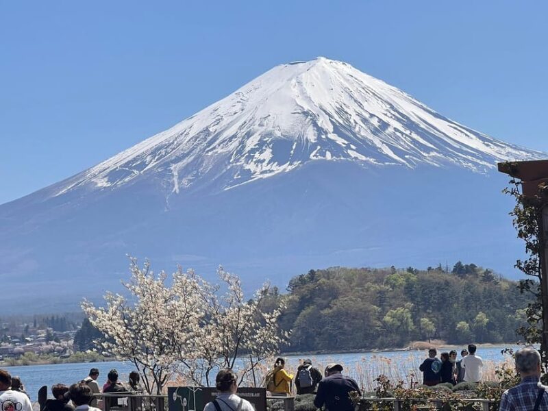 Mount Fuji,Lake Kawaguchiko Private Tour by Car - Customizable Itinerary
