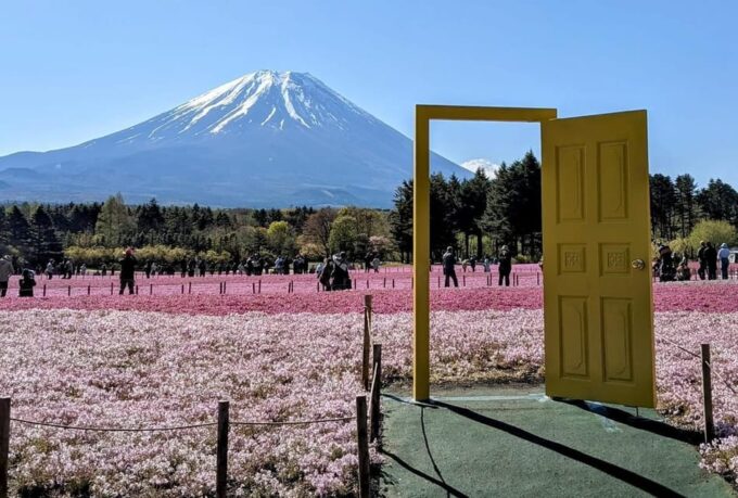 Mount Fuji,Lake Kawaguchiko Private Tour by Car - FAQ