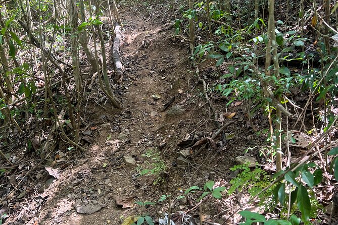 Mount Healthy National Park Private Hike Tour in Tortola - Meeting and Pickup Options