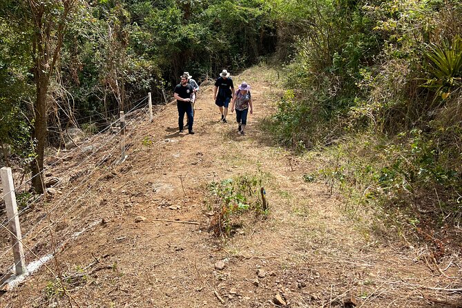 Mount Healthy National Park Private Hike Tour in Tortola - Included Refreshments