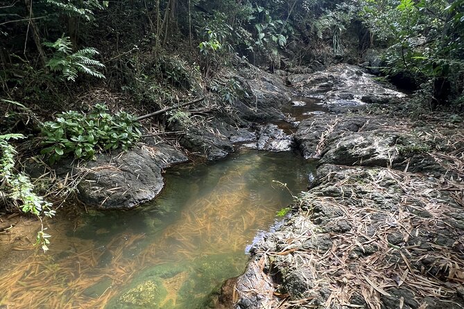 Mount Healthy National Park Private Hike Tour in Tortola - Additional Tour Details