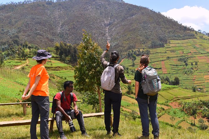 Mount Kabuye Hiking - Key Points