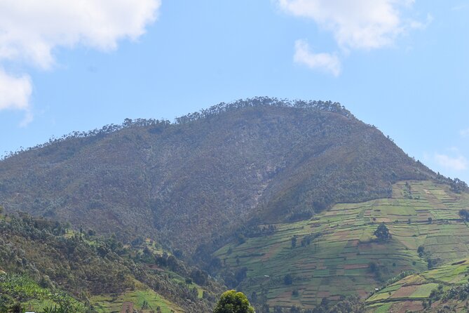 Mount Kabuye Hiking - Meeting and Pickup Details
