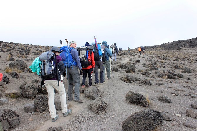 Mount Kilimanjaro 7 Days - Machame Route - Meeting and Pickup Details