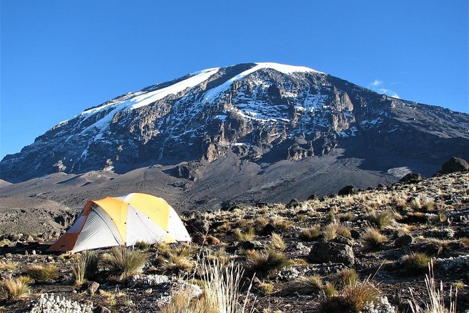 Mount Kilimanjaro 7 Days - Machame Route - Booking, Cancellation, and Pricing