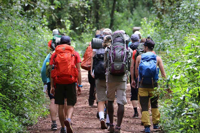 Mount Kilimanjaro Day Hike - Key Points