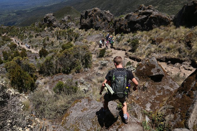 Mount Kilimanjaro Day Hike - Booking and Reservation