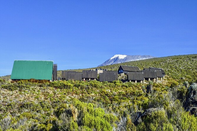 Mount Kilimanjaro Day Hike Through Marangu Route to Mandara Hut - Reaching the Mandara Hut