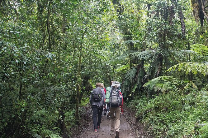 Mount Kilimanjaro Day Hike Through Marangu Route to Mandara Hut - Starting Time and Duration