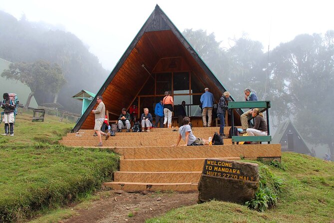 Mount Kilimanjaro Day Hike Through Marangu Route to Mandara Hut - Traveler Considerations