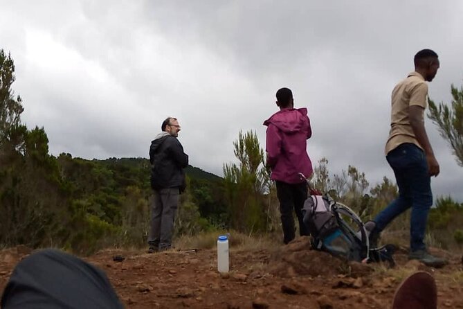 Mount Kilimanjaro Full-Day Hiking via Marangu Route - Operating Hours