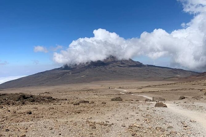 Mount Kilimanjaro - Lemosho Route - Operating Hours and Confirmation