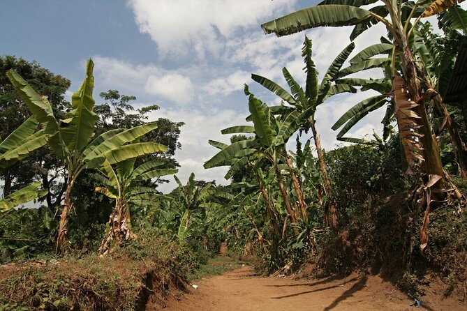 Mount Kilimanjaro-Marangu 5 Days Trekking - Destination Location