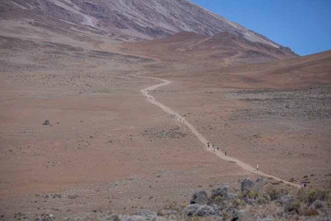 Mount Kilimanjaro Marangu Route 5 Days - Reviews and Ratings