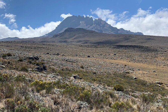 Mount Kilimanjaro - Marangu Route - Trek Difficulty and Fitness