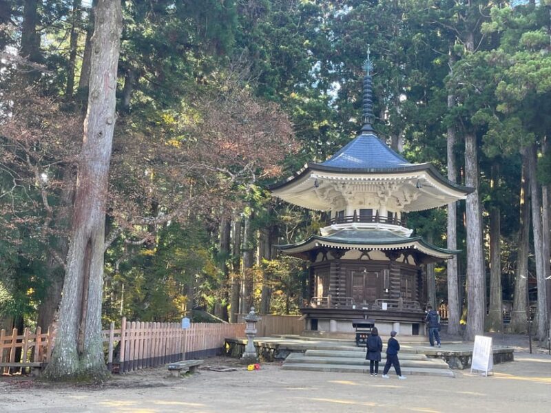 Mount Koya: Full-Day Private Guided Tour From Osaka - Tour Experience