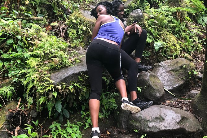 Mount Liamuiga Volcano Tours - Health and Fitness Requirements