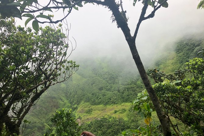 Mount Liamuiga Volcano Tours - Booking and Cancellation Policy