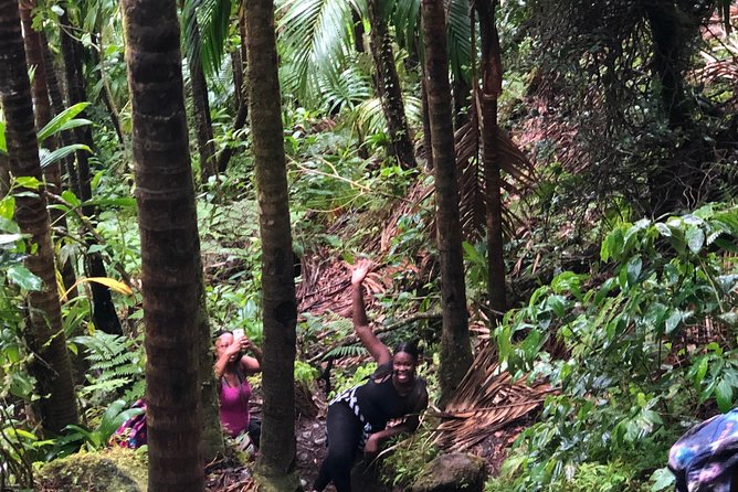 Mount Liamuiga Volcano Tours - Booking Your Stay