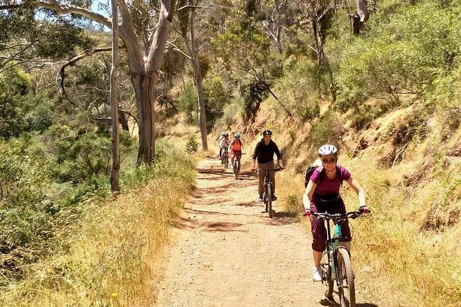 Mount Lofty Descent Bike Tour From Adelaide - Outfitting and Bike Preparation
