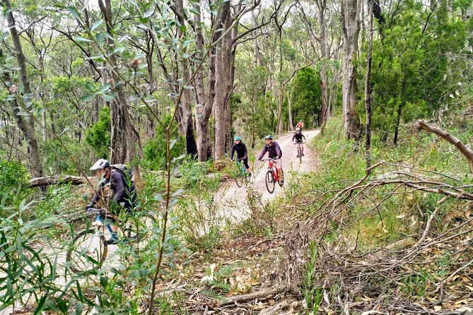 Mount Lofty Descent Bike Tour From Adelaide - Ride Through Chambers Gully and Suburbs
