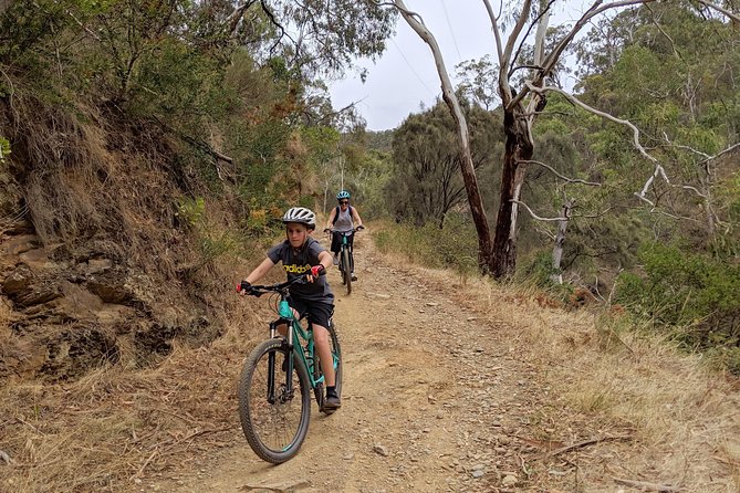Mount Lofty Descent Bike Tour From Adelaide - Return Transport and End of Tour