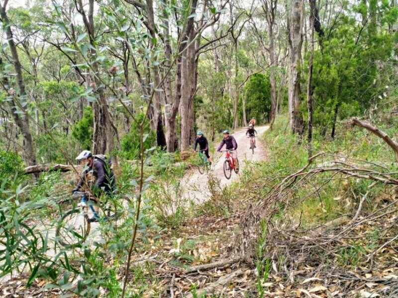Mount Lofty Downhill Bike Tour & Cleland Wildlife Park Visit - Cancellation Policy