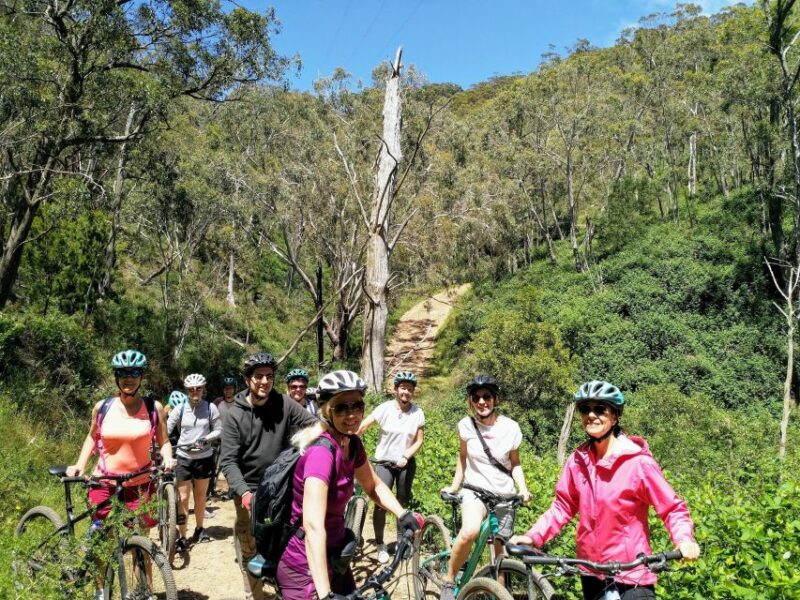 Mount Lofty Downhill Bike Tour & Cleland Wildlife Park Visit - Skill Level Required