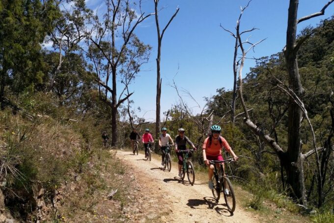 Mount Lofty Downhill Bike Tour & Cleland Wildlife Park Visit - Meeting Point and Pickup