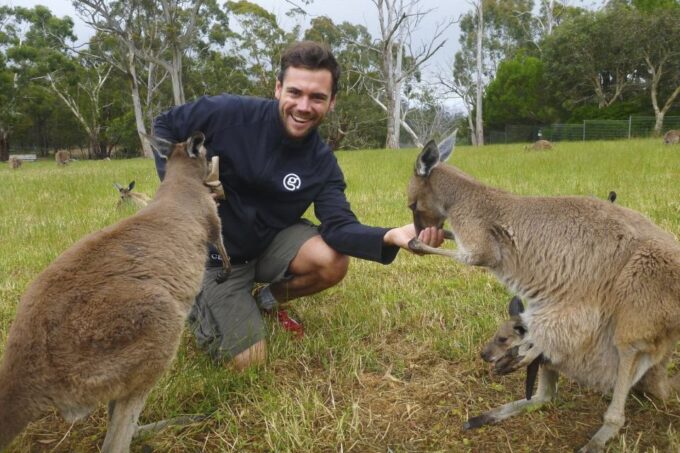 Mount Lofty Downhill Bike Tour & Cleland Wildlife Park Visit - Bike and Gear Provided