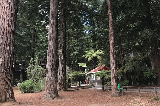 Mount Maunganui and Rotorua Tour From Tauranga With Concert - Tour Experience and Feedback