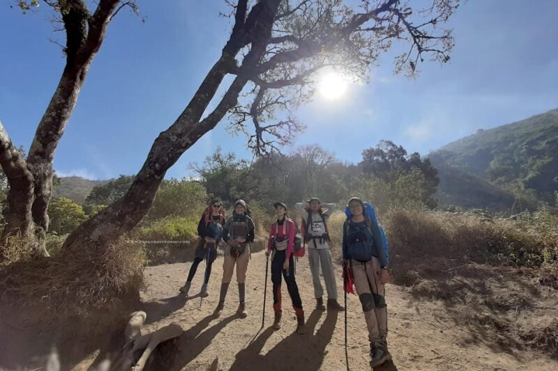Mount Merbabu Sunrise Hike With Camping Option Guided Tour - Summit Experience